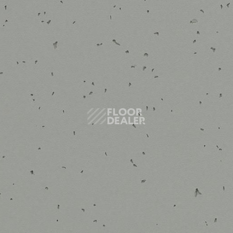 Линолеум Forbo Sphera Energetic 50216 pigeon фото 1 | FLOORDEALER